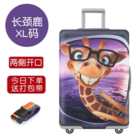 Giraffe XL код 29-32 дюйма