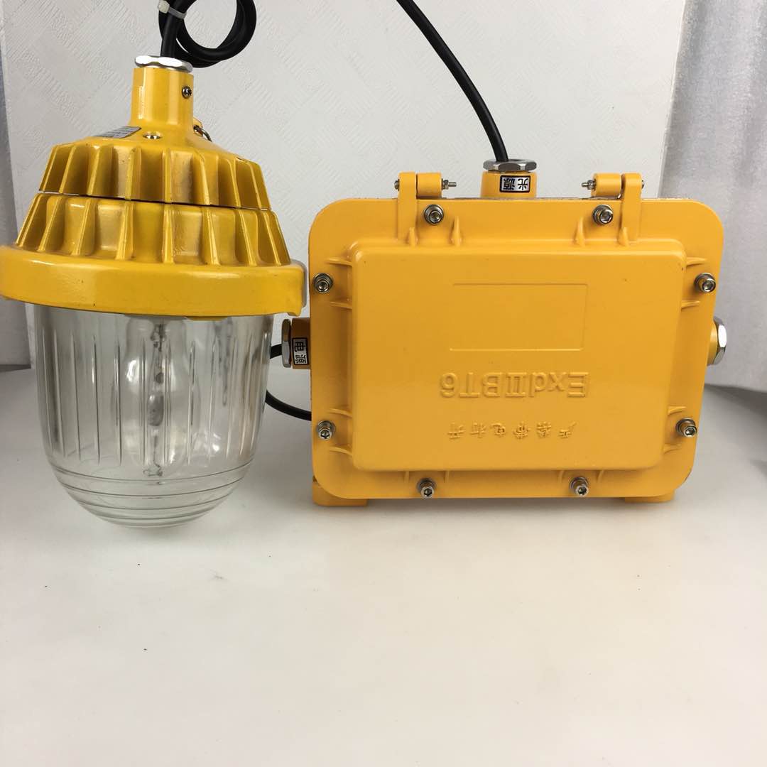 Ocean king BPC 8720 Explosion - proof Flash Inner Field Strong Light Halogen Light Petrochemical Platform Ship Lighting