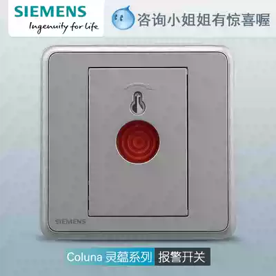 Siemens switch socket panel touch alarm emergency fire button with key Lingyun series silver gray 86