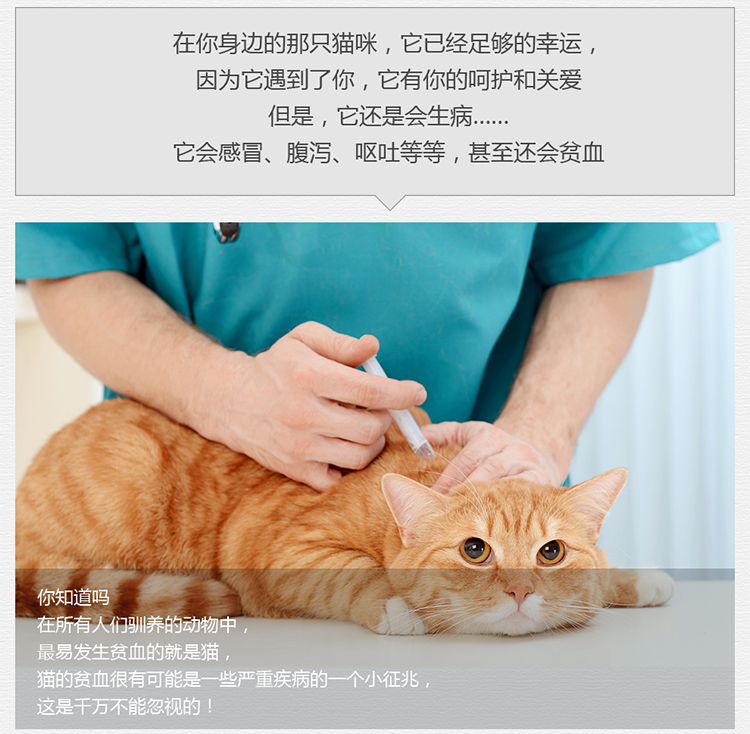 想 猫 Kem dưỡng da mèo mèo thiếu máu tinh chất gan dinh dưỡng kem gấp tai mèo xanh tiếng Anh ngắn - Cat / Dog Health bổ sung sữa bio cho mèo