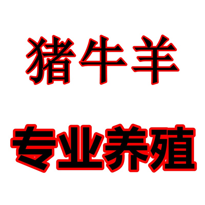 莫染专业牛羊养殖