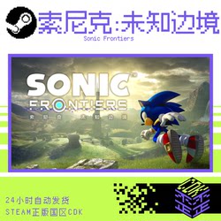 Steam Genuine Sonic Frontiers Steam China Region Cdk Activation Code