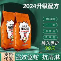 Outdoor camping wild fishing realgar snake repellent powder powerful concentrated anti-snake powder rain-proof long-lasting home courtyard outdoor sulfur