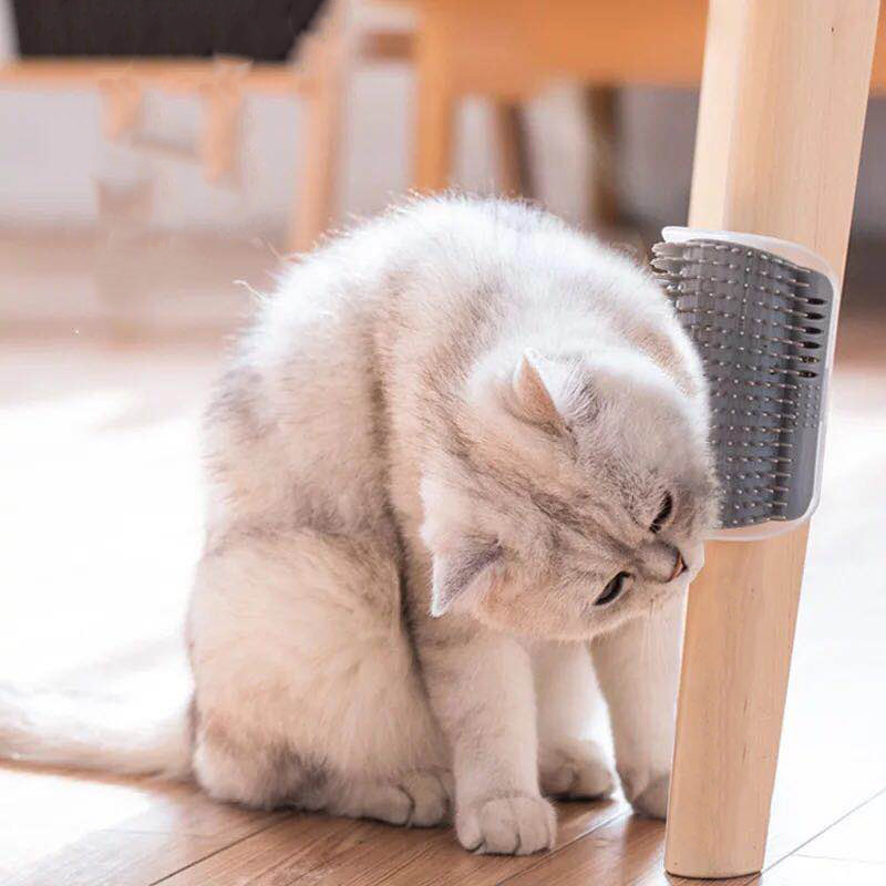 Cat Wall Corner Massager Rub Against the face comb Cat Self-help Scratching the Itch Comb Cat Toy Cat Toy-Taobao