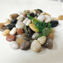 Pebble rain flower stone raw stone natural small stone fish tank flowerpot goose soft stone courtyard decoration gardening colorful stone