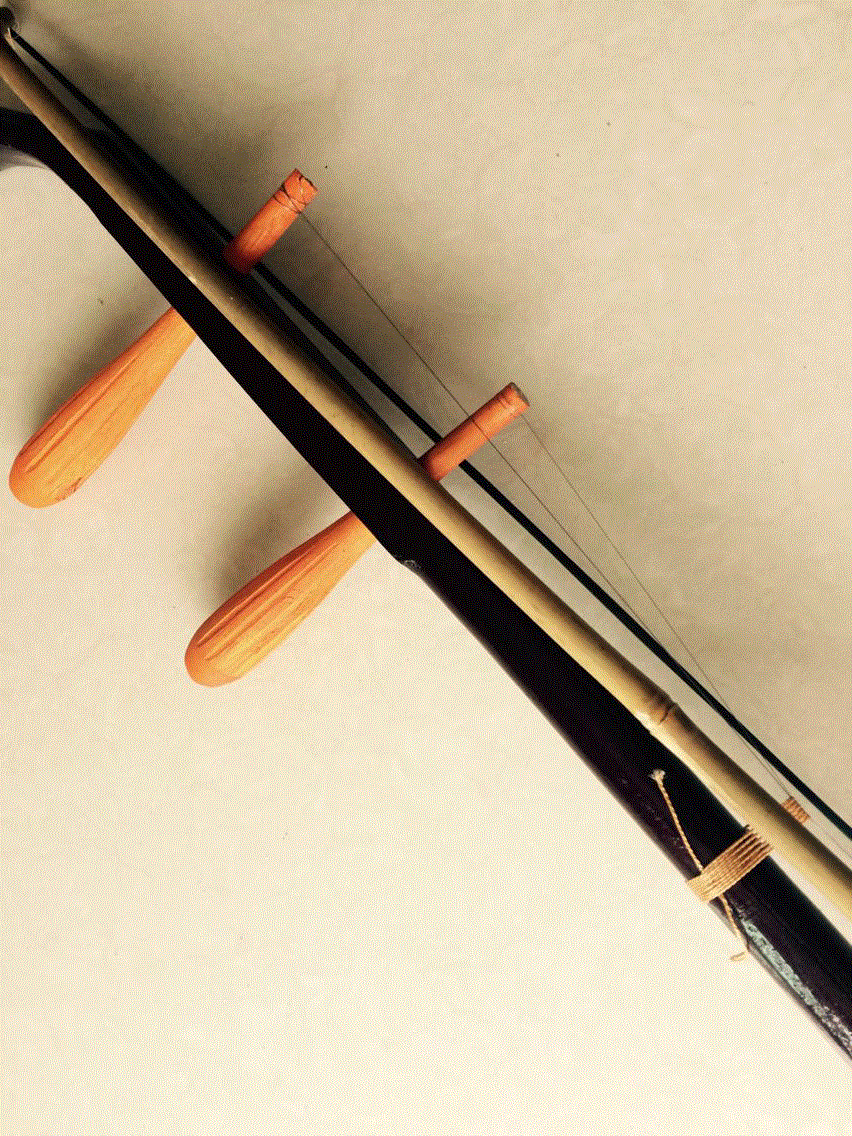 Erhu phụ kiện nhạc cụ dân tộc erhu đặc biệt erhu thực hành erhu hai con hổ đàn cổ tranh