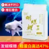 Butterfly carp special feed Whitening sediment particles Koi fish feed Non-muddy water high protein goldfish special fish food