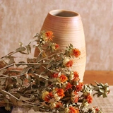 Barcouver Natural Home Forme Forming Mabrinsing Mebridage Сочетание искусства сухие цветы и растения прилипают цветы борода цветочные шипы чертополох
