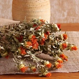 Barcouver Natural Home Forme Forming Mabrinsing Mebridage Сочетание искусства сухие цветы и растения прилипают цветы борода цветочные шипы чертополох