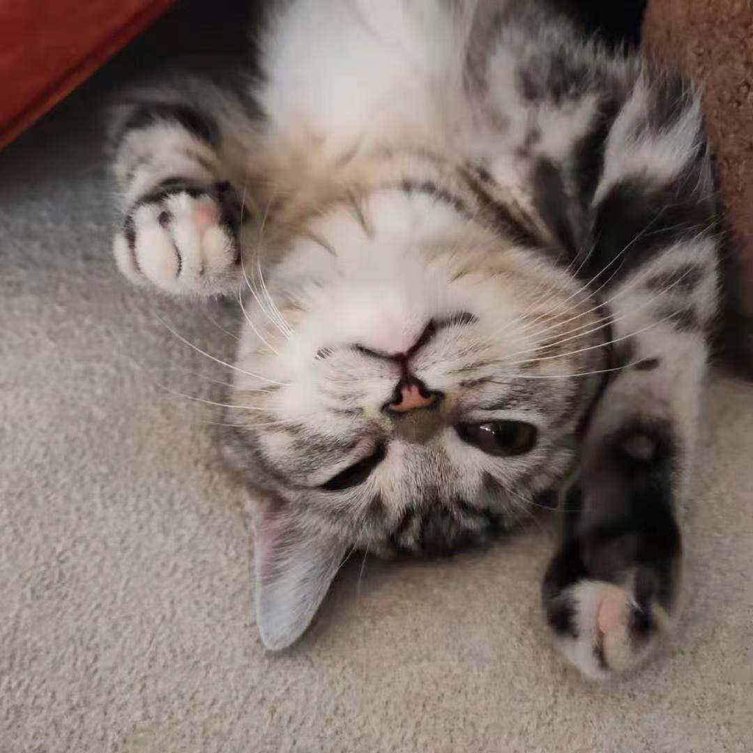 1 yuan special auction