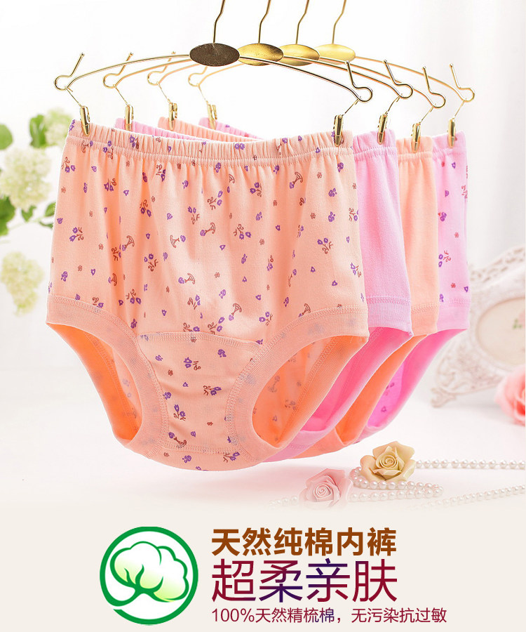 Slip Moyen-âge simple en coton - Ref 640615 Image 7