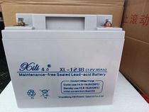 Xili battery XL12V100A65A40A38A24A17AH fire host UPS DC screen centralized power supply