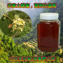 Gansu high purity Dang shen flower soil honey Wild bee pick wild flowers in the bee natural forest nourishing New Year 500g