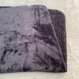 Slightly Flaw Big Sale Coral Fleece Flannel Small Blanket Dog Cat Pet Bed Heattech Sleeping Mat Autumn and Winter Thicke