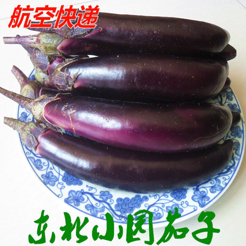 Northeast Purple Eggplant Farmers Make Fresh Vegetables When They Are Black And Tender When Season