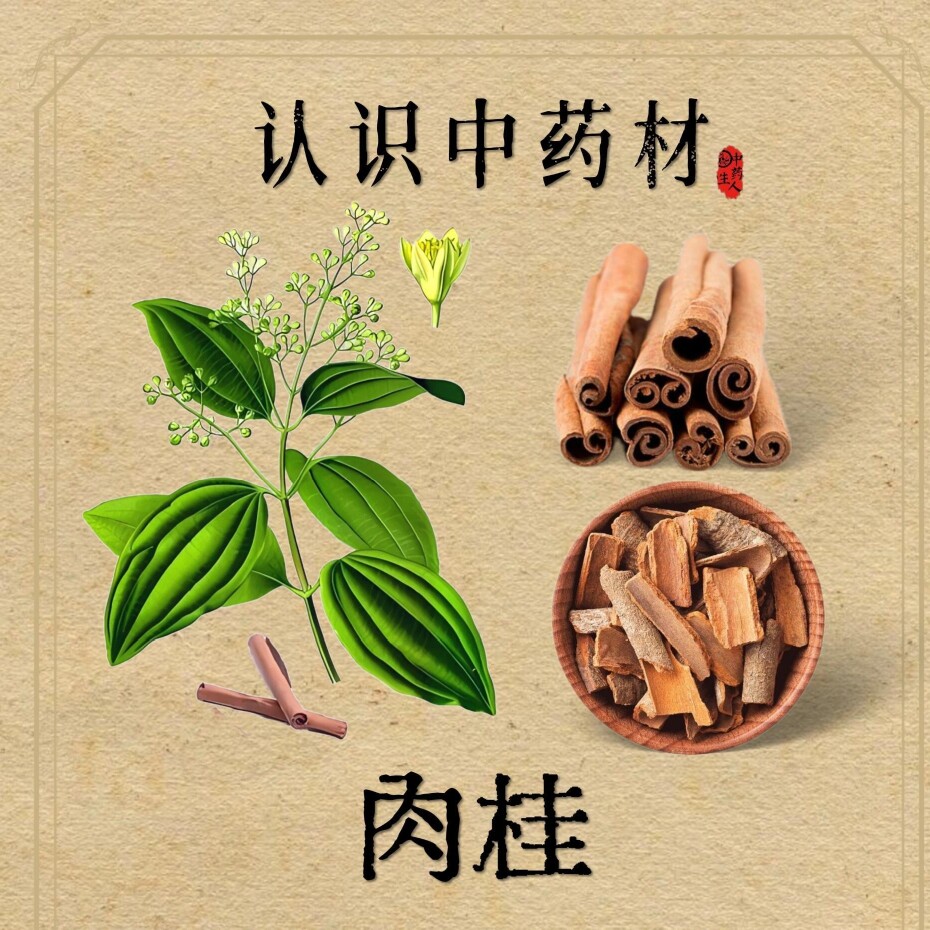 香百草中药材