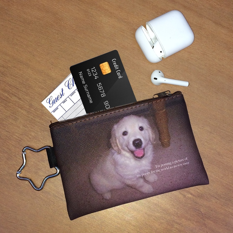 Rubbie Puppy Guinea Pig Pony Salt Series Wallet Pendant Storage Pouch Card Holder ins Style Thin Wallet Bag