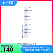 PH0300S Low molecular mass protein Marker 14 4-116kD 20T Fly Net PHYGENE