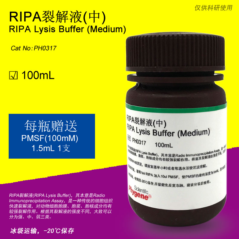 RIPA裂解液 (中) RIPA Lysis Buffer 科研实验 PH0317 PHYGENE