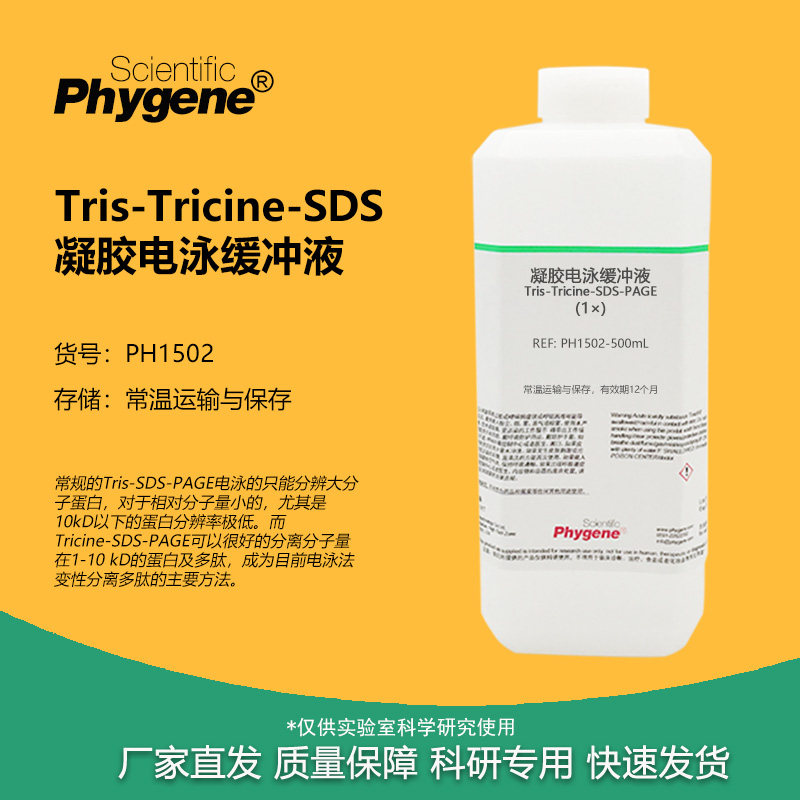 Tris-Tricine-SDS-PAGE 凝胶电泳缓冲液 小分子蛋白电泳液