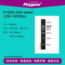 DNA ladder (250-15000bp) 100T DNA Marker PH0021 PHYGENE]