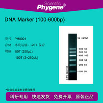 DNA Marker (100-600bp) 100T 2×250uL PH0001 PHYGENE]