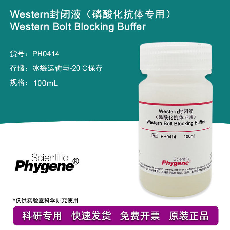 Western封闭液 磷酸化抗体专用 100mL Blocking Buffer 科研实验