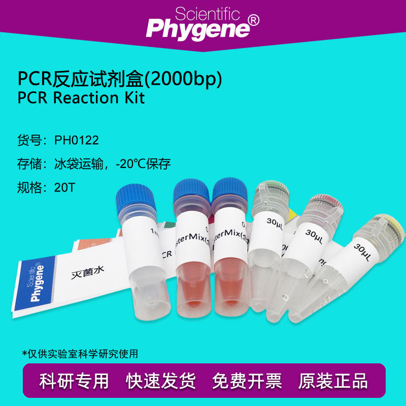 PCR反应试剂盒(2000bp)  PCR试剂盒 20T PH0122 PHYGENE