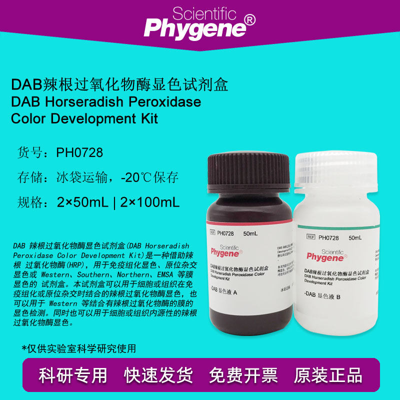 DAB辣根过氧化物酶显色试剂盒 2&times;100ML  [PH0728 PHYGENE]