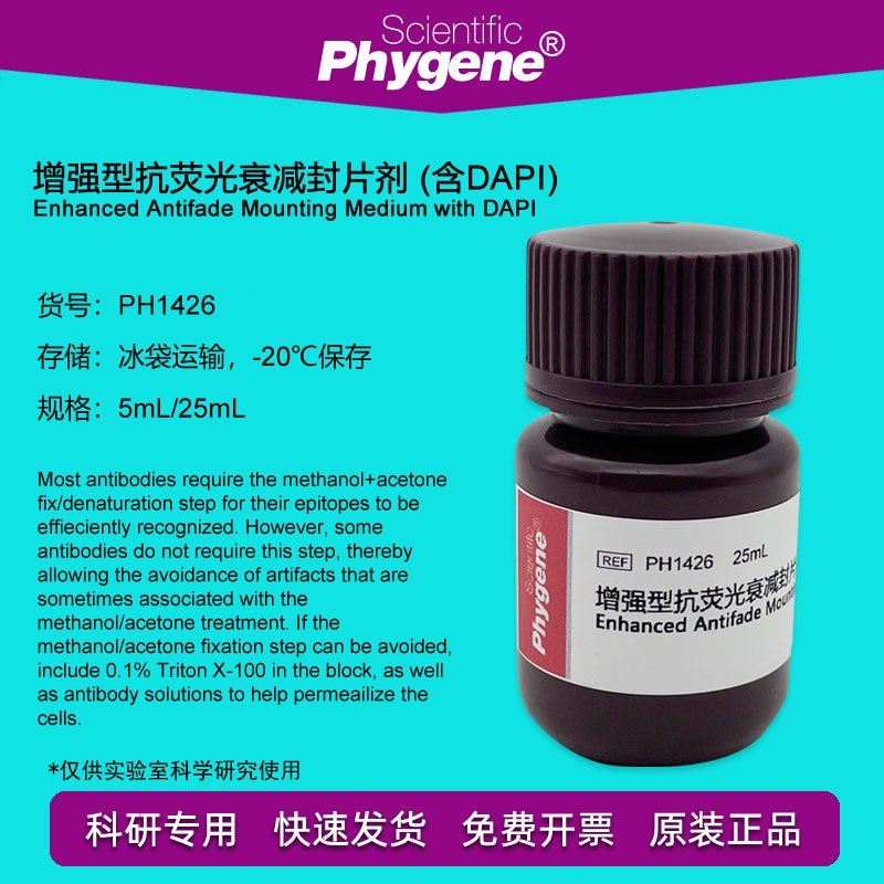 增强型抗荧光衰减封片剂含DAPI 实验 封片液 5mL PH1426 PHYGENE Изображение 1