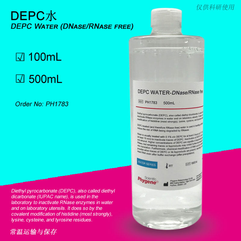DEPC water (DNase RNase free) without enzyme sterile water 500mL PH1783 Phygene]
