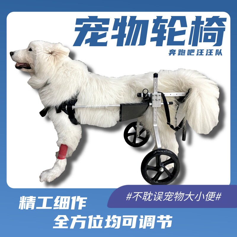 Paralyzed dog defecation assisted with hind limb and mental disorder in large dog wheelchair car with old pet bracket hind hip joints