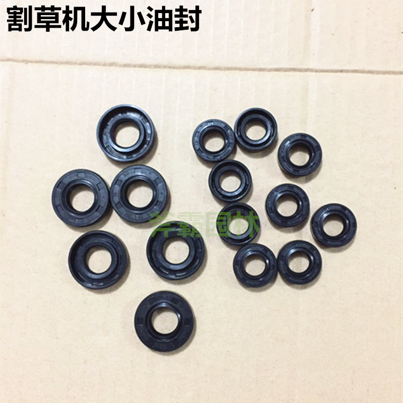 Two-stroke mower cutting irrigation machine 40-5 430520139 GX35 mower accessory size oil seal