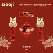 POOJI Pet Customized Peripheral Original Design Year of the Dragon New Year Spring Couplets Creative Gifts for Cats and Dogs