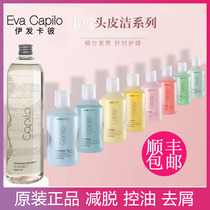 Imported Kapi CAPILO Oil Control Dandruff Reduction Soothing Purifying Scalp Clean Shampoo Scalp Antipruritic Care