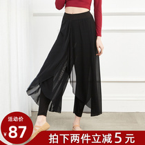 Dance pants female tight Model trained ninety-minute skirts in the form of the fluttering classical modern Latin pants