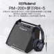 Loa trống điện tử Roland Roland PM100 Loa trống điện PM-200 PM-03 trống điện chuyên nghiệp âm thanh đệm - Loa loa