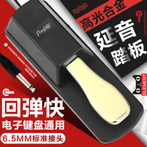 Continuous pedal Yamaha electronic piano foot pedal Roland electric piano MIDI keyboard synthesizer universal accessories