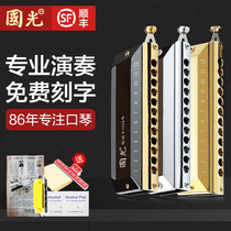 Guoguang Haliton Harmonica 12 Hole 48 C Tone Advanced Professional Performance Beginners Adult Childrens Starter Musical Instrument