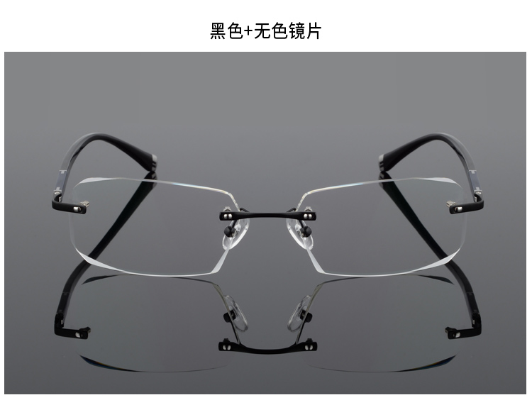 Montures de lunettes en Alliage de titane - Ref 3142072 Image 16