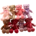 Màu sắc gấu Teddy Doll Ragdoll Đồ chơi sang trọng Gấu hồng Sinh nhật Quà tặng Cô gái - Đồ chơi mềm