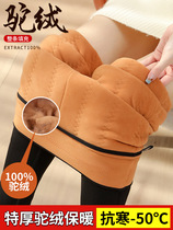 Minus 40 degrees cold protection Northeast Harbin ultra-thick outer cotton pants womens high-waisted warm snow town travel bottoming pants