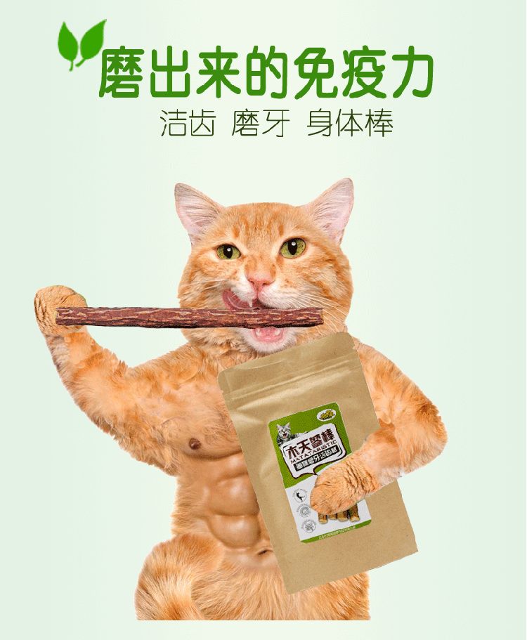 皇 宠物 棒 vào mèo ăn vặt gỗ tự nhiên 蓼 蓼 幼 猫 猫 调 调 hạt cho mèo con