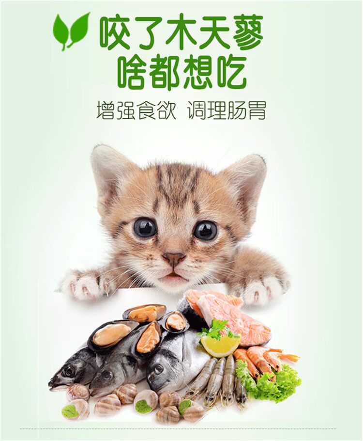 皇 宠物 棒 vào mèo ăn vặt gỗ tự nhiên 蓼 蓼 幼 猫 猫 调 调 hạt cho mèo con