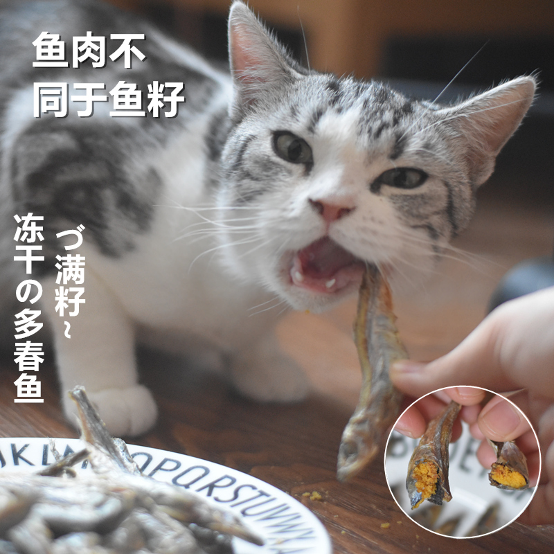 Cat freeze-dried spring fish full of seeds cat small fish dried kitten pregnant cat supplement nutrition fish cat craving snacks
