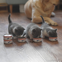 pure canned cat kittens over 2 months cat pregnancy milk cake supplement nutrition cat snack