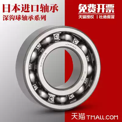 Import NSK bearings 6000 6001 6002 6003 6004 6005 6006z ZZ DDU RS RZ