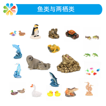 Psychological sand table sand with marine animal whale dolphin turtle frog duck Penguin cognitive model toy boy