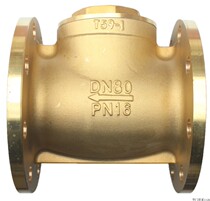 Brass flange valve flange interface engineering special H44T - 16T rotating check valve