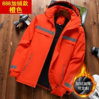 【888 плюс бархат】 Orange